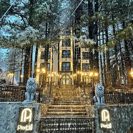 Pinehill Hotel, Restaurant , Pool & - Otel 5*