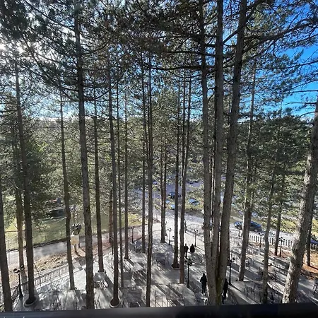 Pinehill Hotel, Restaurant , Pool & - 호텔 Razëm